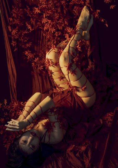 狗能看的动画片_720高清视频播放